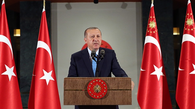 Cumhurbakan Erdoan'dan Avusturya'ya cami tepkisi: Dnyay Hal - Hilal savana doru gtryor
