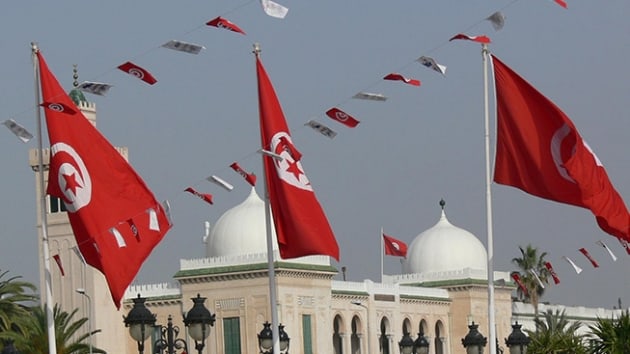 BAE'nin Tunus'ta tasarlad ne srlen darbe plan giriimi Tunuslular tarafndan protesto edildi