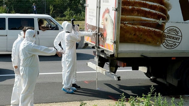 Avusturya'nn Slovakya ve Macaristan snrnda 71 snmacnn bir kamyonette hayatn kaybettii davada karar akland