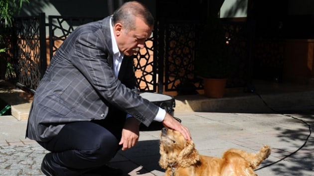 Cumhurbakan Erdoan Twitter'dan paylat: Ksklda kpeimiz iko ile...'