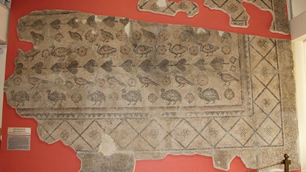 Sivas'ta ahrdan Roma dnemine ait tarihi taban mozaii kt