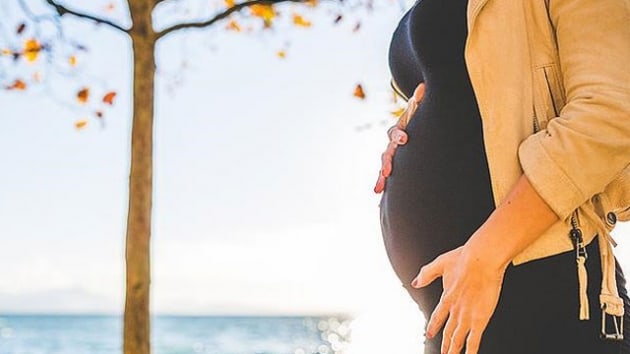 Trk bilim insanlarnn almalar sonucunda, gebelikte annenin obez olmas otizmi tetikliyor