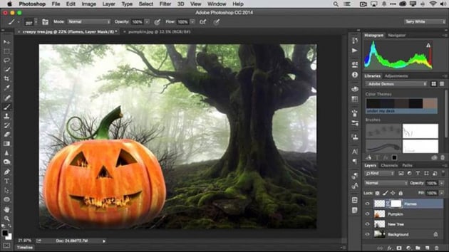 Adobe Photoshop'un tam srm iPad'e geliyor