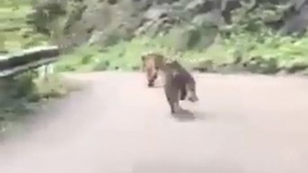 Trabzon'da 2 ay karayoluna indi