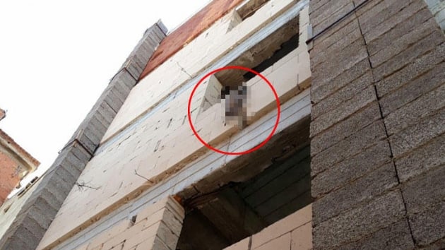 Korkun! Yavru kpek asl halde bulundu