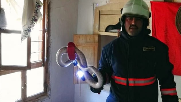Malatya'da eve giren ylan itfaiye kard   