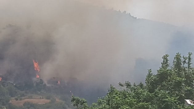 Hatay'da ormanlk alandaki yangna havadan ve karadan mdahale ediliyor