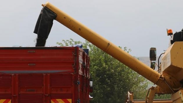 ukurova'da ayiei hasad balad