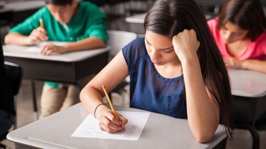 LGS yerle�tirme sonu�lar� 30 Temmuz'da a��klanacak