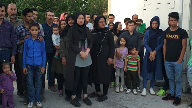 Van'da 485 dzensiz gmen yakaland 