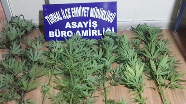 Tokat'ta uyuturucu operasyonu