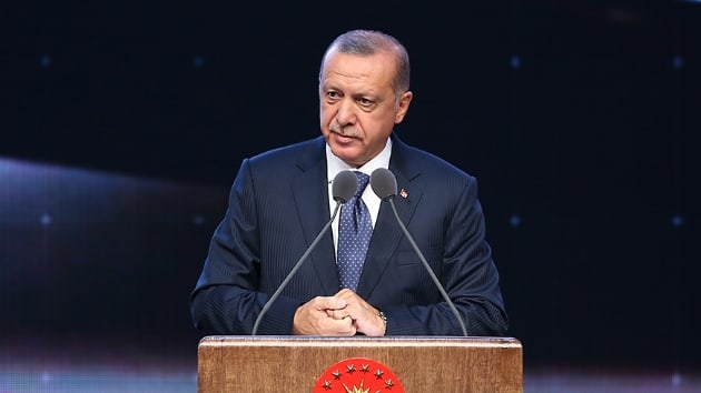Bakan Erdoan: Yastk altndan dvizlerinizi, altnlarnz karn