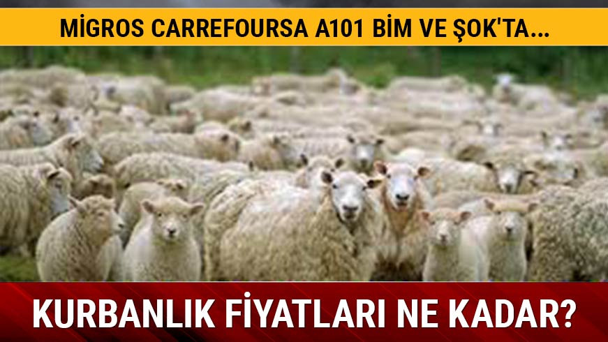 Kurbanl�k fiyatlar� belli oldu mu?