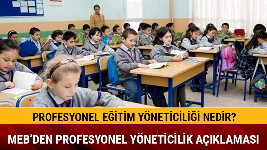 Profesyonel e�itim y�neticili�i nedir 
