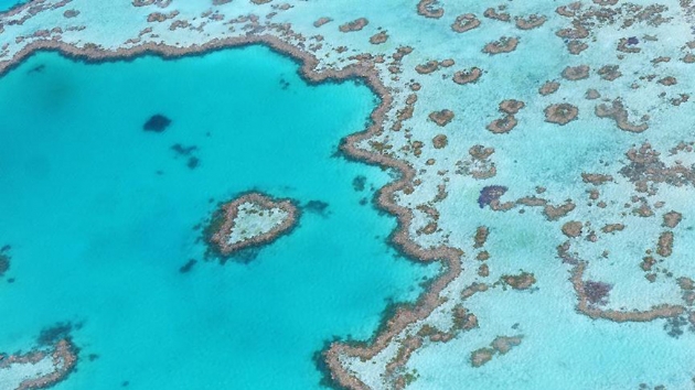 Avustralyal bilim adamlar Byk Set Resifini koruyacak insansz deniz alt robotu gelitirdi