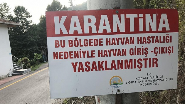 Kaymakam Altnta: Herhangi bir sknt gzkmyor. Karantina  hafta devam edecek