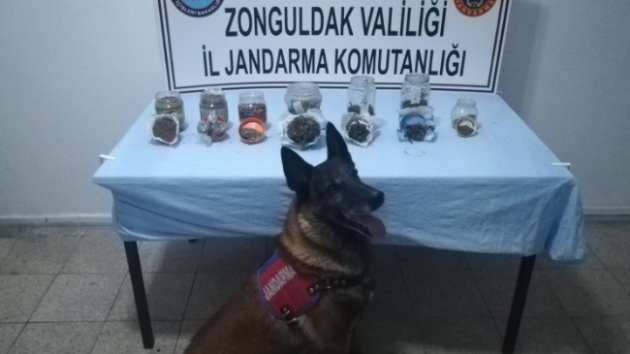 Topraa gml kavanozlardan esrar kt