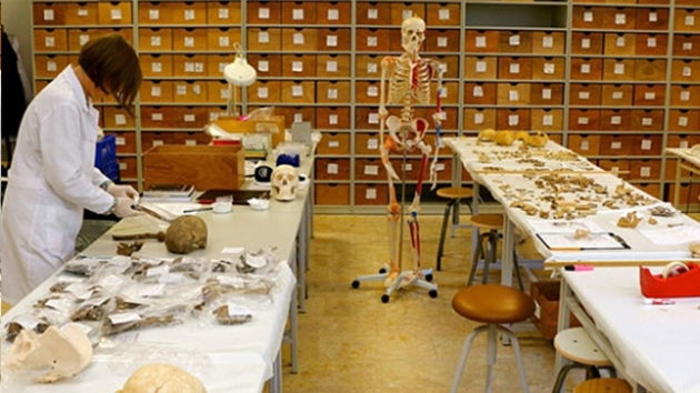 Arkeolojik kazlarda bulunan iskeletler gemie k tutuyor 