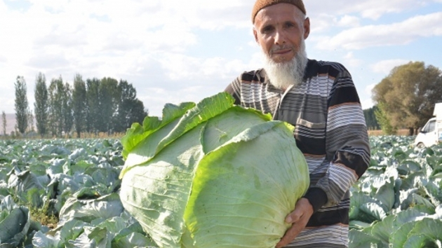 Dev lahanalarn hasad balad 