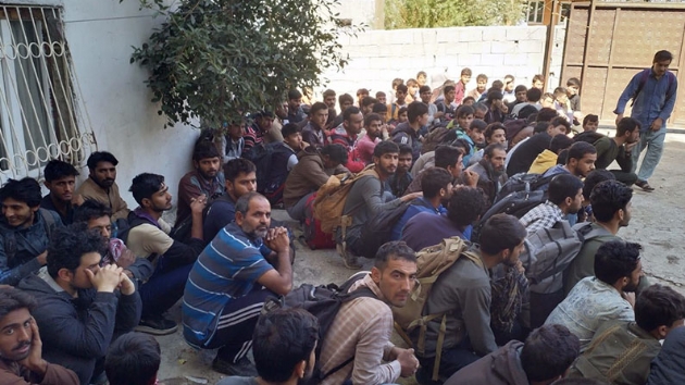 Van'da 140 kaak ahs yakaland  
