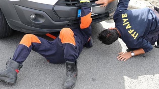 TEM Otoyolunda yabani kpek operasyonu