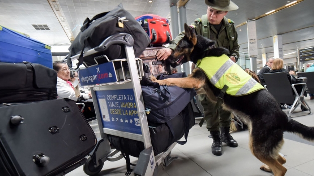 Kolombiya'da ''kiisel doz''da uyuturucu tanmas yasakland 