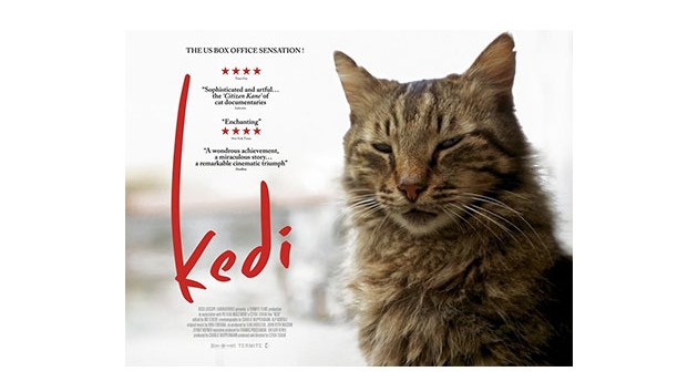 Mama getiren cretsiz film seyredecek 