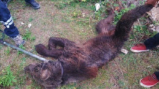 ehre inen hasta ay tedavi edildi