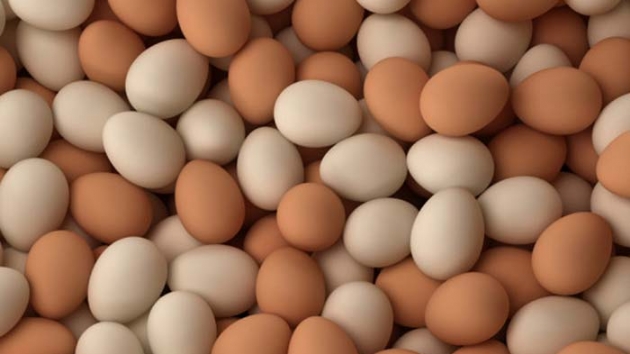 Tavuk yumurtas retimi Austosta 1,7 milyar adet olarak gerekleti