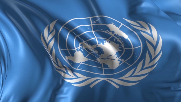 BM insan haklar  uzmanlar: Suudi yetkililerin kadn haklar savunucularna kar tutumunu knyoruz