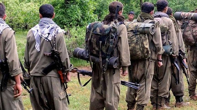 Terr rgt PKK'ya mali darbe