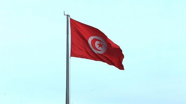 Tunus'ta Nida Tunus Partisi ve zgr Yurtsever Birlii Partisi tek bana iktidar iin birleti