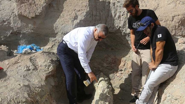Kayseri'de 2 metrelik fil kafatas bulundu