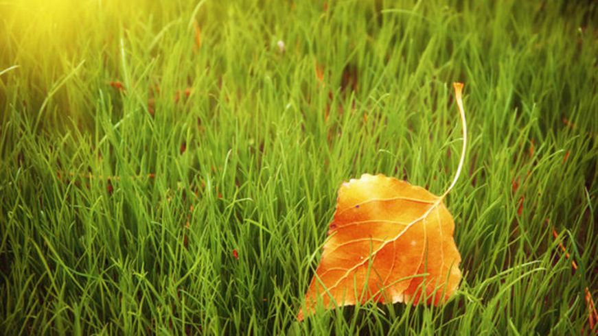 Hava durumu ile ilgili Meteoroloji'den a��klama
