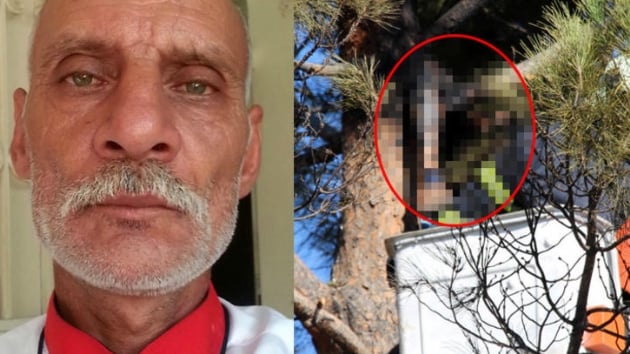 Aata kozalak toplayan vatanda elektrik akmna kaplarak ld