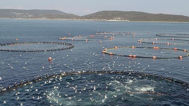 Balklk sektrnn, Avrupa Birlii Ortak Balklk Politikas'na uyumu iin mevzuat almas yaplacak