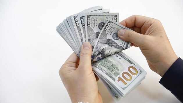 Dviz mevduatlar dolardaki dle 91 milyar lira eridi