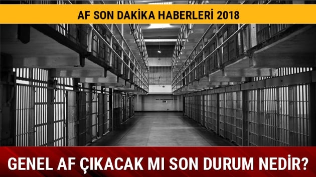 MHP af teklifi komisyonda