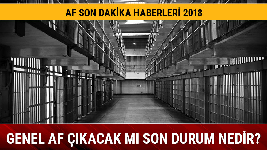 MHP af teklifi komisyonda