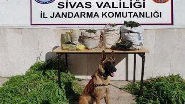 Sivas'ta uyuturucu operasyonu: 4 kilo 659 gram eroin ele geirildi