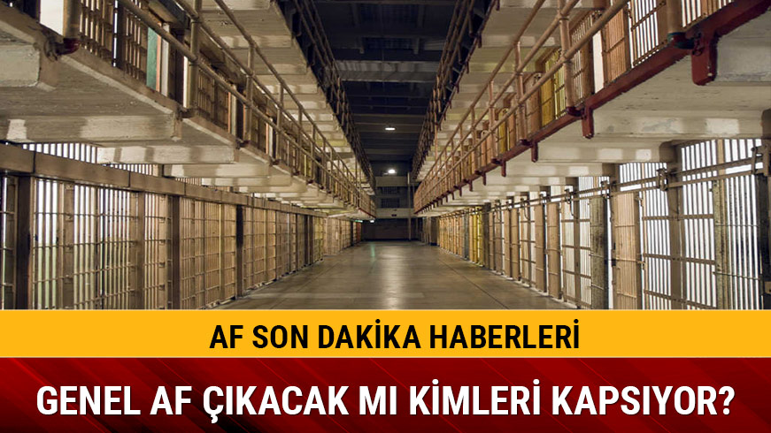 MHP'nin af teklifi komisyonda
