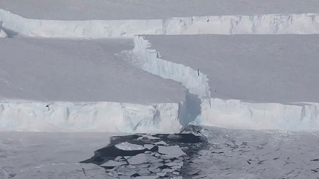 NASA'da grevli bilim insanlar, yzlm neredeyse 60km olan yeni bir buzda kefetti