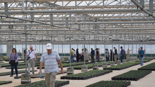  Katar'da Kur'an Botanik Bahesi kuruldu 