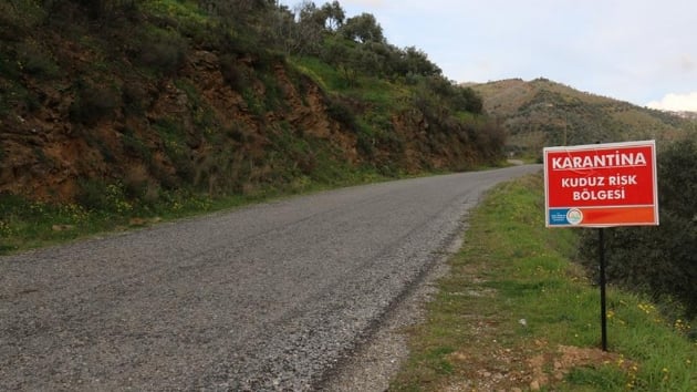 Tarm ve Orman Bakanl, Balkesir'de kuduz sebebiyle alama ve karantina ilemlerinin yapldn bildirdi