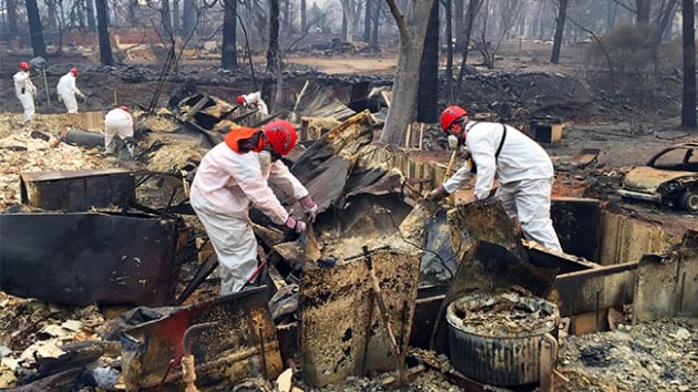 California'da devam eden orman yangnlarnda yaamn yitirenlerin says 66'ya ykseldi 