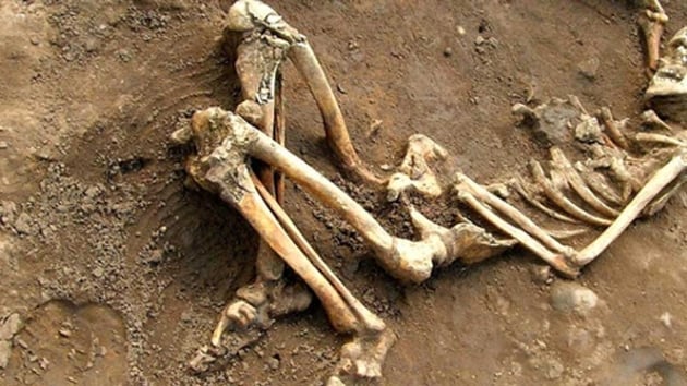 Tunceli'de insan kemii bulundu