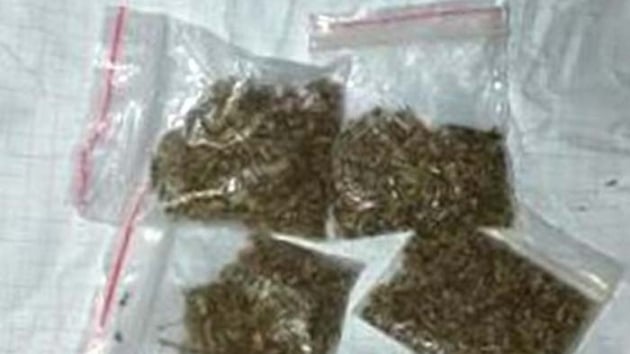 Uyuturucu kullandklar esnada jandarmaya yakalandlar  