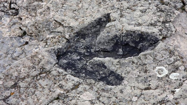 Gney Kore'de dnyann en kk dinozor ayak izleri bulundu