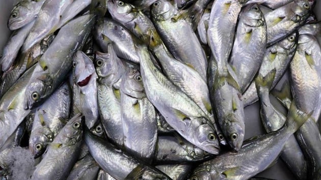 inekop bolluu ucuzluk getirdi