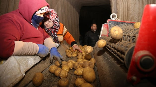 Patatesin depo k fiyatnda indirim